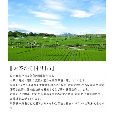 高級茶5種 飲み比べセット 計500g  深蒸し掛川茶 日本茶きみくら【5899】【配送不可地域：離島・沖縄県】