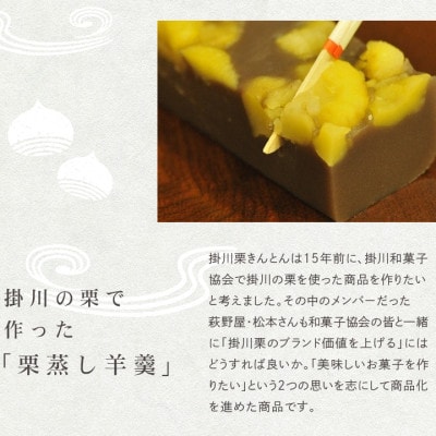 萩野屋 掛川栗の 栗きんとん×12個 栗蒸し羊羹×2本 詰め合わせ【配送不可地域：離島・北海道・沖縄県・四国・九州】