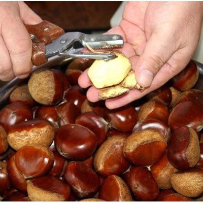 萩野屋 掛川栗の 栗きんとん 6個×3箱 計18個入【配送不可地域：離島・北海道・沖縄県・四国・九州】