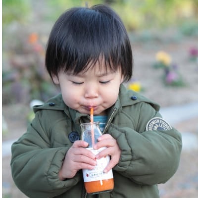 しあわせニンジンジュース(有機ニンジン・ミックスジュース)180ml×30本【配送不可地域：離島・沖縄県】