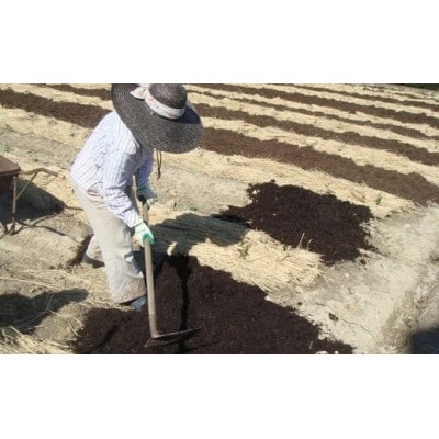 掛川の小さな茶農家直送 農業遺産茶草場実践工場 深蒸し掛川茶「うぐいす」 200g×2【配送不可地域：離島・沖縄県】