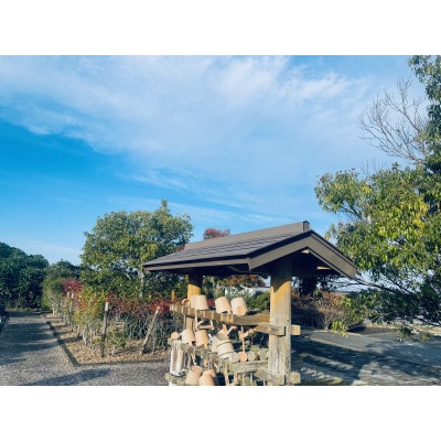 お墓参り代行(拭き掃除、墓花一組)【市外居住者のみ・富士見台霊園限定】【配送不可地域：離島・沖縄県】