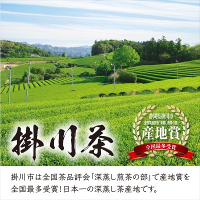 ＜2026年新茶・先行受付＞掛川茶「深蒸し茶の郷 掛川」100g×3本セット　5月上旬発送予定【配送不可地域：離島・沖縄県】