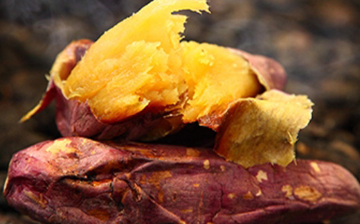 静岡県掛川市　おいもやの干し芋3袋と焼き芋4袋セット【配送不可地域：離島・北海道・沖縄県・四国・九州】