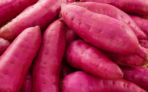 生まれも育ちも掛川産　こつぶな丸干し6袋セット　　【配送不可地域：離島・沖縄県】