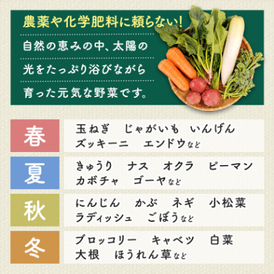 しあわせ野菜畑の有機野菜　Lセット　(安心の有機JAS認証　旬のオーガニック野菜　農場直送便)【配送不可地域：離島・北海道・沖縄県・四国・九州】