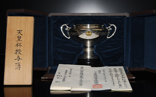 天皇杯受賞茶園栽培のプレミアム茶100g×5袋【配送不可地域：離島・沖縄県】