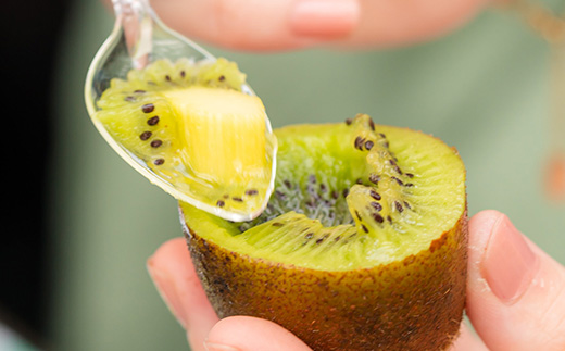 5882　掛川産グリーンキウイ「ヘイワード」8～9個(ギフト箱入り)【配送不可地域：離島・北海道・沖縄県・四国・九州】