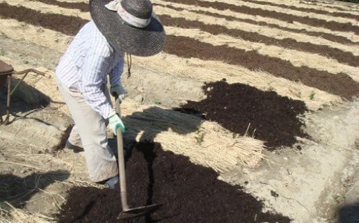 掛川の小さな茶農家直送 農業遺産茶草場実践工場 深蒸し掛川茶「うぐいす」 200g×2【配送不可地域：離島・沖縄県】