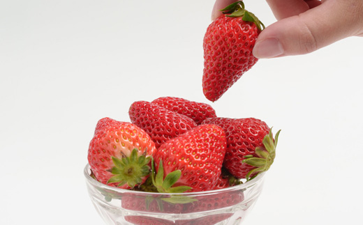 【2026年発送】静岡県掛川市産　ミズノ農園の完熟いちご　『紅ほっぺ』約280g×6パック【配送不可地域：離島・北海道・沖縄県・四国・九州】