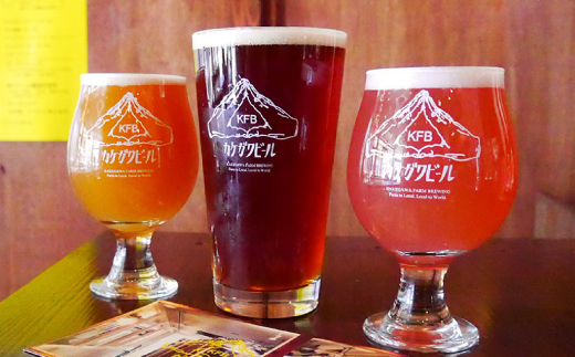 カケガワビール6本セット【配送不可地域：離島・北海道・沖縄県・四国・九州】