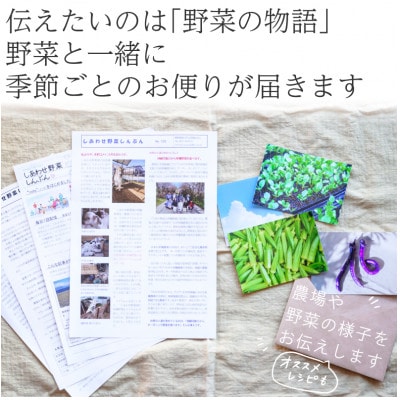 【毎月定期便】有機野菜　Mセット　オーガニック 野菜 セット　有機JAS　しあわせ野菜畑　全12回【配送不可地域：離島・北海道・沖縄県・四国・九州】