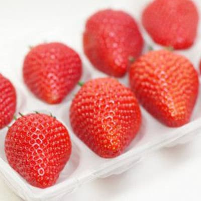 【発送月固定定期便】静岡県産いちご　厳選「紅ほっぺ」4パックセット(約1.2kg)全3回【配送不可地域：離島・北海道・沖縄県・東北・中国・四国・九州】