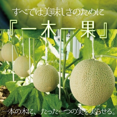 【通年出荷】クラウンメロン(白等級)6玉セット【配送不可地域：離島・北海道・沖縄県】