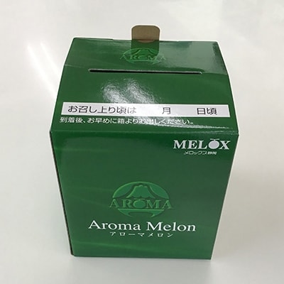 静岡県産　高級アローマメロン　白級  1玉約1.4kg×1玉【配送不可地域：離島・北海道・沖縄県】