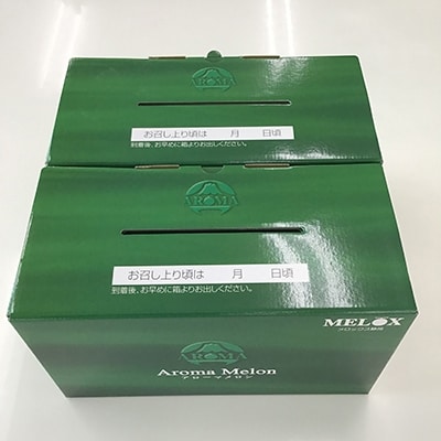 静岡県産　高級アローマメロン　白級 約1.4kg× 4玉( 2玉×2箱 )【配送不可地域：離島・北海道・沖縄県】