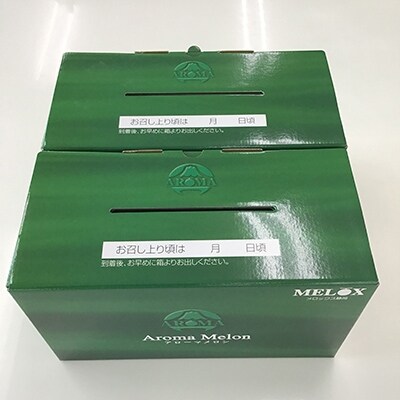 静岡県産　高級アローマメロン　山級約 1.3kg以上×4玉 ( 2玉×2箱 )【配送不可地域：離島・北海道・沖縄県】