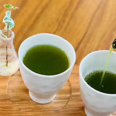 【5月下旬より順次発送】新茶　深蒸し掛川茶　旬の香り・味をお届けします。100g10本　合計1kg【配送不可地域：離島・沖縄県】