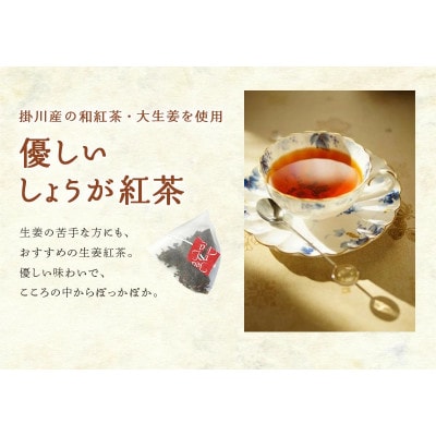 優しいしょうが紅茶「ジンジャーティー」(紅茶、生姜、共に掛川産)ティーバッグ2g×13入り×5袋【配送不可地域：離島・沖縄県】