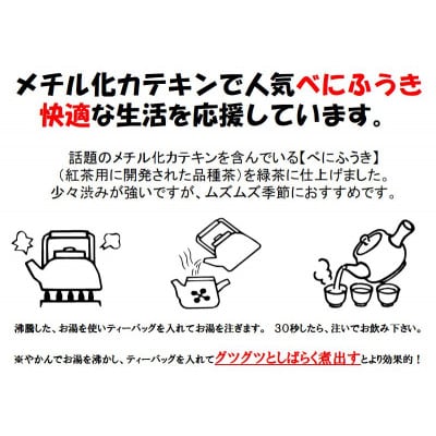 べにふうき緑茶(メチル化カテキン)ティーバッグ5g・10個入り×5袋 静岡県掛川産の深蒸し製法掛川茶【配送不可地域：離島・沖縄県】