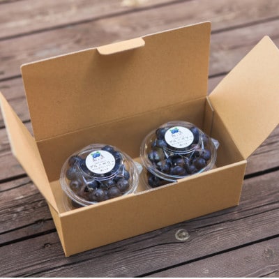 2026年発送【ハウス栽培】季節限定の国産『生ブルーベリー』太陽の恵みを沢山浴び新鮮で大粒。【配送不可地域：離島・北海道・沖縄県・四国・九州】