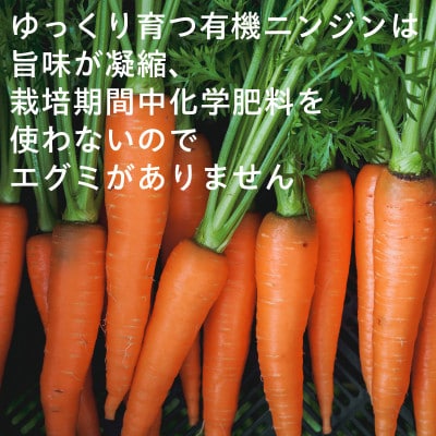 「有機人参100%ジュース」と「有機人参とリンゴのミックスジュース」【配送不可地域：離島・沖縄県】