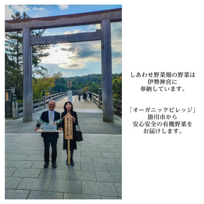 有機大根　有機JAS認証　煮物やおでんに最適　冬の味覚(12～3月発送)【配送不可地域：離島・北海道・沖縄県】