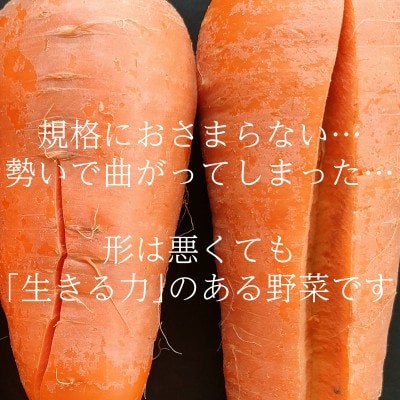【フードロス対応・規格外】有機ニンジン  訳あり   冬季限定(12～3月発送)【配送不可地域：離島・北海道・沖縄県】