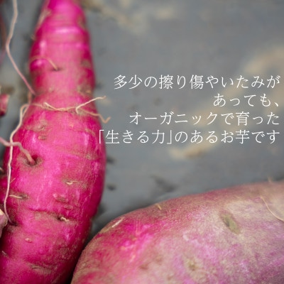 【フードロス対応・規格外】有機サツマイモ　訳あり　有機JAS　期間限定(12～3月発送)【配送不可地域：離島・北海道・沖縄県】