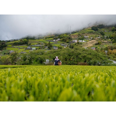 UCC「静岡まろみ焙じ茶」ドリップポッドカプセル 2箱(24杯分)【配送不可地域：離島・沖縄県】