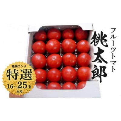 【特選】トマト 美味しんぼに登場したトマト「桃太郎」16～25玉 ランク:特選　糖度9度以上【配送不可地域：離島・沖縄県】