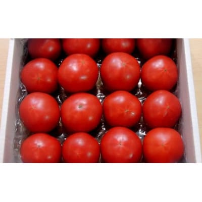 【特選】トマト美味しんぼに登場した『桃太郎』12～20玉 ランク:特選　糖度9度以上【配送不可地域：離島・沖縄県】