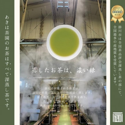 最高級煎茶「東山」100g×3袋セット 2025年度産【配送不可地域：離島・沖縄県】