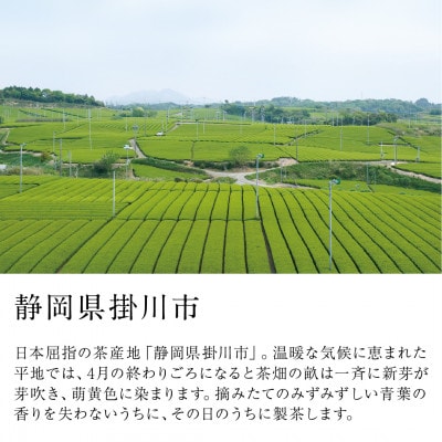 旬の香りを飲み比べ 5種の新茶 満喫セット 合計400g　2026年5月より順次発送【39537】【配送不可地域：離島・沖縄県】