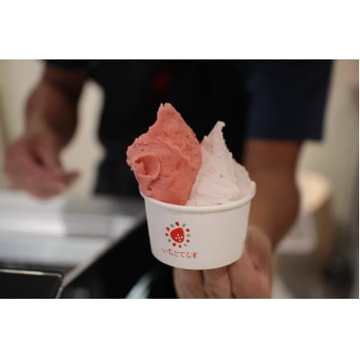 いちごてらすの本格ジェラート3種セット(いちご・いちごミルク・ジャージーミルク　各2カップ)【配送不可地域：離島・北海道・沖縄県・四国・九州】