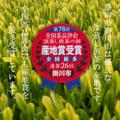 上煎茶　深蒸し掛川茶「藤印」200g×3本セット【配送不可地域：離島・沖縄県】