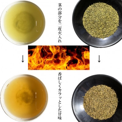 深蒸し掛川茶　特上茎煎茶500g×3本セット【配送不可地域：離島・沖縄県】