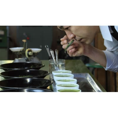 深蒸し掛川茶TB「茶草場のしずく」(4g×20個)×5袋セット【配送不可地域：離島・沖縄県】