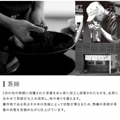 高級茶5種 飲み比べセット 計500g  深蒸し掛川茶 日本茶きみくら【5899】【配送不可地域：離島・沖縄県】