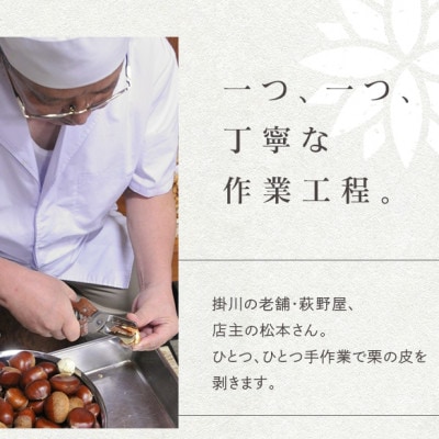 萩野屋 掛川栗の 栗きんとん×12個 栗蒸し羊羹×2本 詰め合わせ【配送不可地域：離島・北海道・沖縄県・四国・九州】