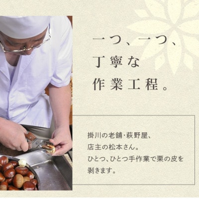 萩野屋 掛川栗の 栗きんとん 6個×3箱 計18個入【配送不可地域：離島・北海道・沖縄県・四国・九州】