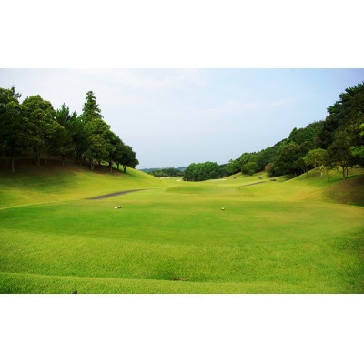 静岡よみうりカントリークラブ ゴルフ・プレー補助券　30,000ポイント分【配送不可地域：離島・沖縄県】