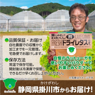【掛川産】リーフレタスパウダー50g【配送不可地域：離島・沖縄県】