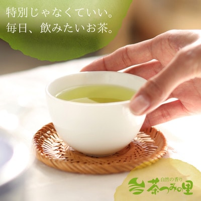 【計100包】 深蒸し一番茶使用 掛川産緑茶 ティーバッグ (3g×20包)×5袋【配送不可地域：離島・沖縄県】