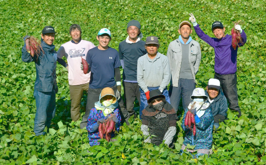生まれも育ちも掛川産　プレミアム干し芋・陽菜子200g×3袋【配送不可地域：離島・沖縄県】