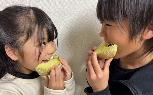 静岡暗室マスクメロン アローマ印　　　　　白級約1.45kg以上　2玉【配送不可地域：離島・北海道・沖縄県】