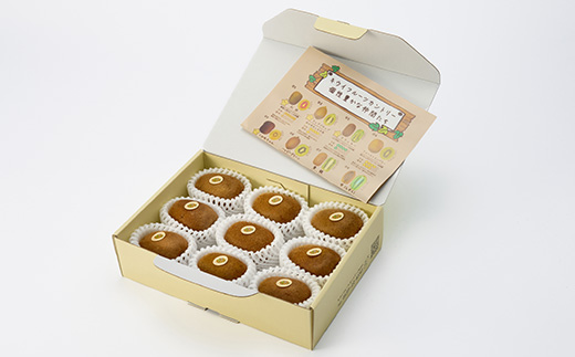 5882　掛川産グリーンキウイ「ヘイワード」8～9個(ギフト箱入り)【配送不可地域：離島・北海道・沖縄県・四国・九州】