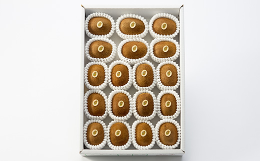 5885　掛川産グリーンキウイ「ヘイワード」18～20個(ギフト箱入り)【配送不可地域：離島・北海道・沖縄県・四国・九州】