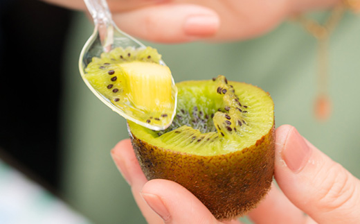 掛川産カラフルキウイ4種8～9個セット期間限定 キウイフルーツカントリーJapan　5883【配送不可地域：離島・北海道・沖縄県・四国・九州】