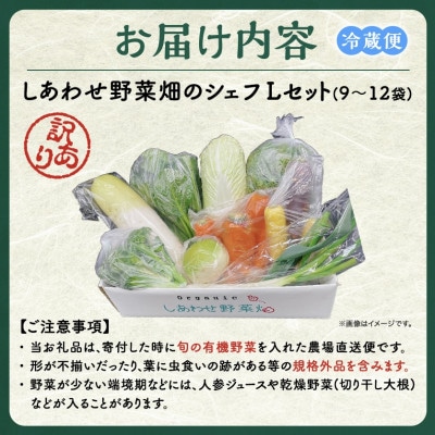 【毎月定期便】しあわせ野菜畑のシェフLセット(訳あり規格外の有機野菜を一部使用)全3回【配送不可地域：離島・北海道・沖縄県・四国・九州】